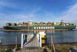 Harbour tugs bring the container freighter Ever Globe to its berth at Hutchison Ports ECT Euromax,