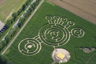 Aerial photo, maize labyrinth, maize, agriculture, footprint, Schleswig-Holstein