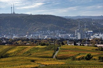 View of Daimler corporate headquarters, Mercedes-Benz plant Untertürkheim, television tower, radio