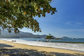 View of the preserved Bonete beach on the island of Ilhabela between trees and vegetation, Bonete