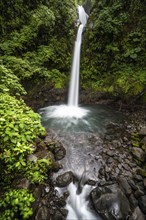 La Paz waterfall, waterfall in dense green vegetation, long exposure, Alajuela province, Costa