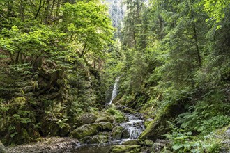 Waterfall Großer Ravennafall in the Ravenna Gorge near Breitnau, Black Forest, Baden-Württemberg,