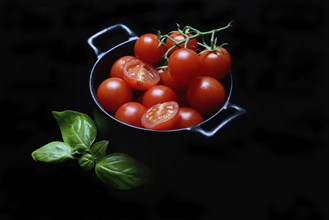 Cherry tomatoes in pots, cherry tomato, Solanum lycopersicum