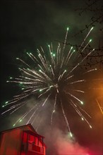 Colourful fireworks explode over trees during a night-time celebration, Stuttgart Birkach, Germany,