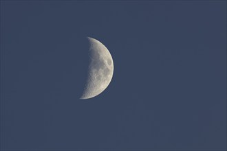 Waxing moon (Luna) in the early evening, Wilnsdorf, North Rhine-Westphalia, Germany, Europe