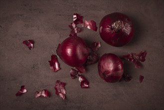 Red onion, fresh, raw, on a dark background, top view