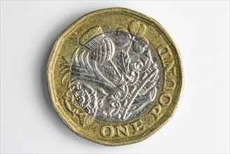 Close-up of the reverse of a British one pound coin, white background