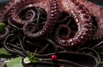 Octopus with black spaghetti, pasta, spices and herbs, top view, no people