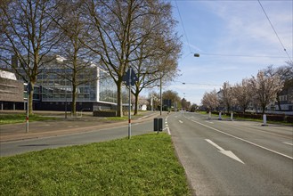 Main road Florastraße with blossoming cherry trees and the Musiktheater im Revier in Gelsenkirchen,