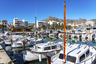 Port de Polença, harbour, in the northwest of, Majorca, Spain, Europe