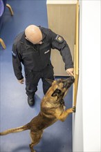 Data storage sniffer dog of the North Rhine-Westphalia police, here in a training flat, training