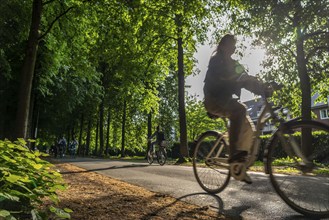 Promenade cycle path, tree-lined, car-free, approximately 4.5 km long ring road around the city