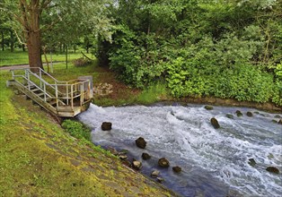 Harpener Teiche, also known as Werner Teiche, tributary of the mineral-rich mine water, Bochum,