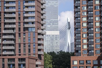 New residential tower blocks in the Katendrecht neighbourhood, Feijenoord district in Rotterdam, on