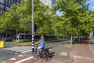 Urban greening, inner-city street Laan op Zuid, in Rotterdam's Feijenoord district, 4 lanes, 2 tram