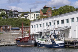 The town harbour of Sassnitz, island of Rügen, fishing boats, Mecklenburg-Western Pomerania,