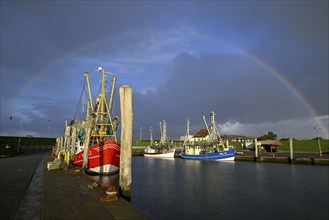 Fishing boats in the harbour of Tammensiel, rainbow, Pellworm Island, Schleswig-Holstein Wadden Sea