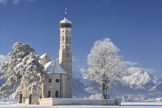 Church in snowy mountain landscape, snow, winter, sunny, Königswinkel, Sankt Coloman, Füssen,