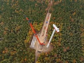 Large construction site of a wind power project in a dense, autumnal forest, wind farm construction