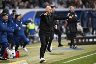 Goal celebration, Coach Christian Ilzer TSG 1899 Hoffenheim on the sidelines Gesture Gesture