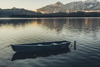 Frosty morning atmosphere during sunrise at Lake Hopfensee in the Allgäu in Bavaria, Germany,