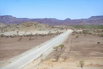 Gravel track leads through barren dry landscape with hills, Damaraland, Kunene, Namibia, Africa