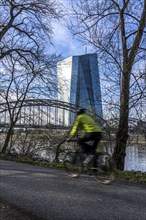 Building of the European Central Bank, ECB, cycle path on the Main in Frankfurt, Hesse, Germany,