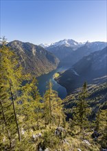 Panoramic view of the Königssee from the Archenkanzel viewpoint, autumnal forest and snow-capped