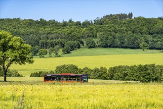 Country road between Hirschberg and Warstein, local bus, public transport, bus transport,