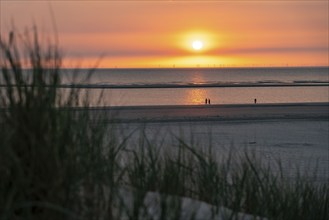 North Sea island Langeoog, early summer, beach, dune landscape, sunset, Lower Saxony, Germany,