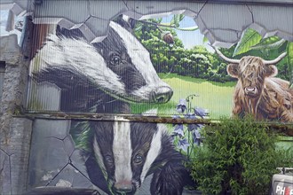 A mural showing two badgers and a Highland cow in a natural setting, Mural Trail, Glasgow,