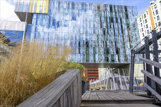 Green spaces around buildings, here at Hogeschool Inholland Rotterdam, plant beds at passageways,