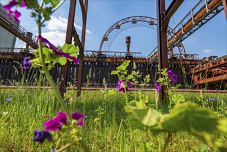 Zollverein Coal Mine Industrial Complex World Heritage Site, Zollverein Coking Plant, colourful