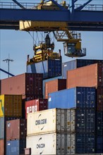 Container loading, gantry cranes in the Container Handling Centre, Trimodal Container Terminal, in