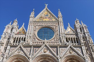 Cathedral, old town, architecture, landmark, travel, tourism, blue sky, Siena, Tuscany, Italy,