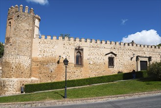 Medieval castle with stone walls and a tower, surrounded by grass and road under a blue sky, Palace