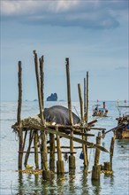 Remains of a jetty at Phang Nga bay near Koh Yao Noi, seascape, seascape, nature, longtail boat,