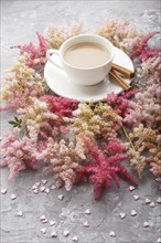 Pink and red astilbe flowers and a cup of coffee on a gray concrete background. Morninig, spring,