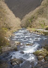 Looking downstream East Lyn River valley at Watersmeet, near Lynmouth, Exmoor national park, Devon,