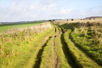 The Ridgeway long distance footpath dating from prehistory near its start on Overton Hill,