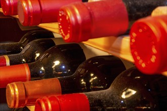 Wine cellar with red wine bottles