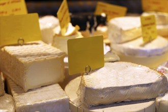 Cheese counter with a variety of different cheeses