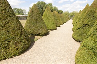 Topiary pathway in garden Littlecote House Hotel, Hungerford, Berkshire, England, UK