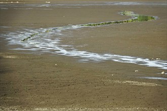 Drought, climate change, autumn, Germany, Europe