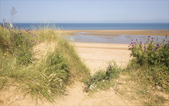 Wide sandy beach at low tide, Hunstanton, north Norfolk coast, England, United Kingdom, Europe