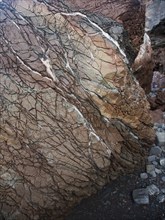 Veins of gypsum in Lower Lias rocks Watchet, Somerset, England, United Kingdom, Europe