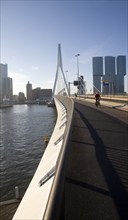 Erasmus Bridge, Erasmusbrug, spanning the River Maas designed by architect Ben van Berkel completed