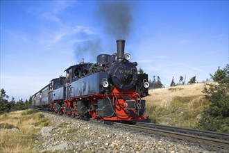 HSB, Harz narrow-gauge railway, locomotive, steam engine, smoke, HSB railway, Brockenbahn, Harz,