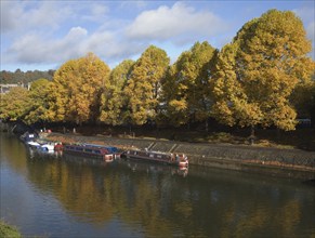 Narrow boats moored on the River Avon, Bath, Somerset, England, United Kingdom, Europe