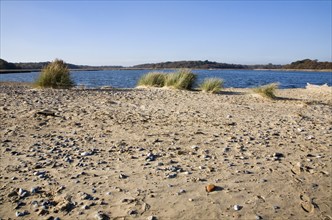 Benacre Broad lake is separated from the sea by the shingle beach bar of Benacre Ness, Suffolk,